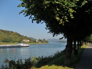 Am Rhein entlang