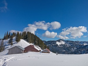 Die Höllritzer Alpe